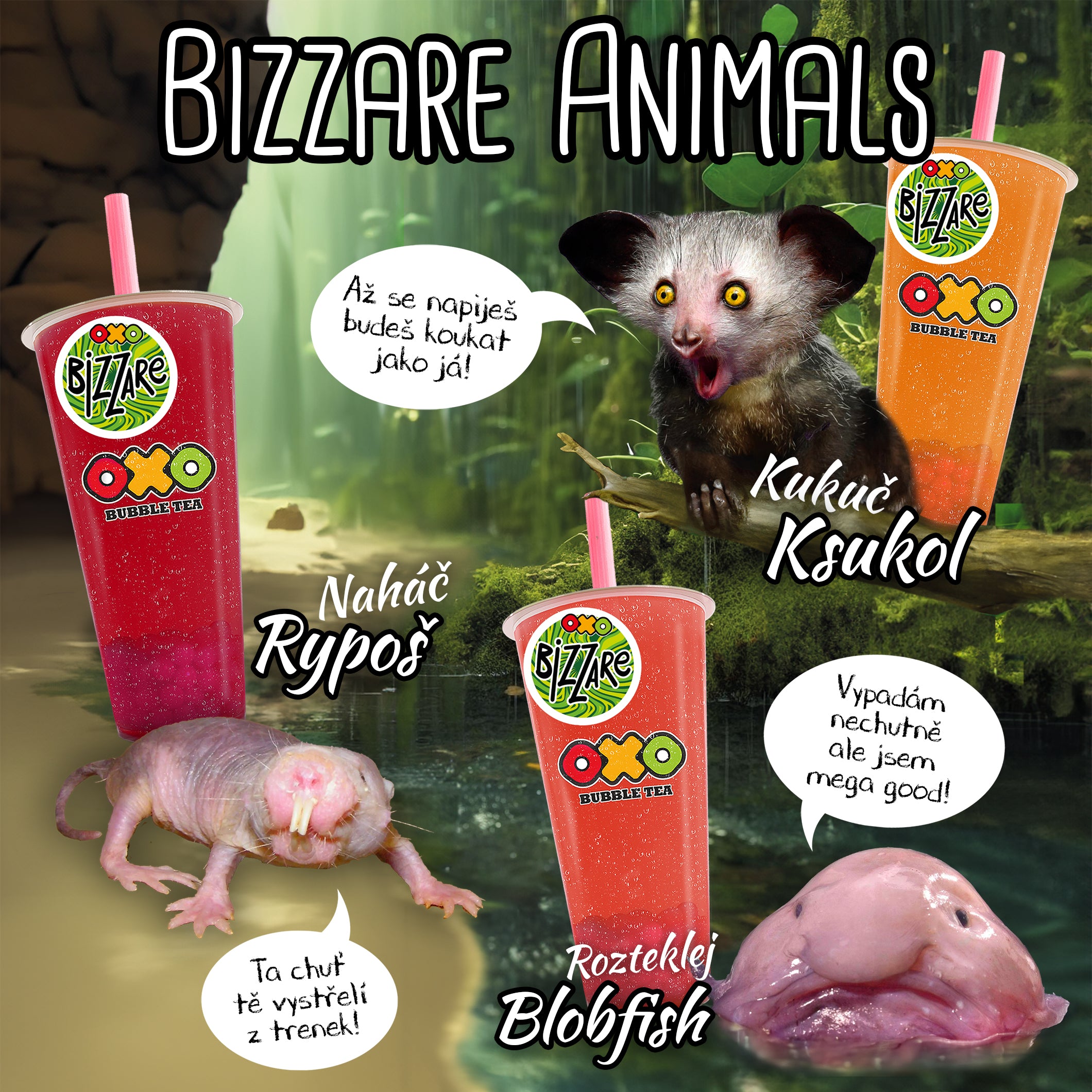 BIZZARE ANIMALS