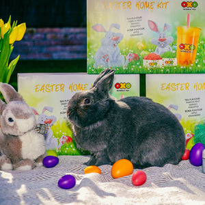 OXO HOME KIT - EASTER - www.oxoshop.cz